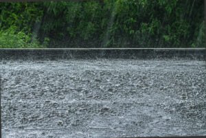 Heavy rain and ponding water on a commercial flat roof in Florida conditions