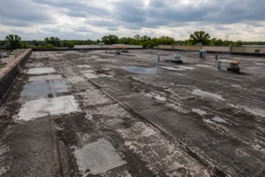 40-Year Flat Roof