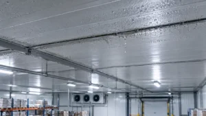 Ceiling Sweats